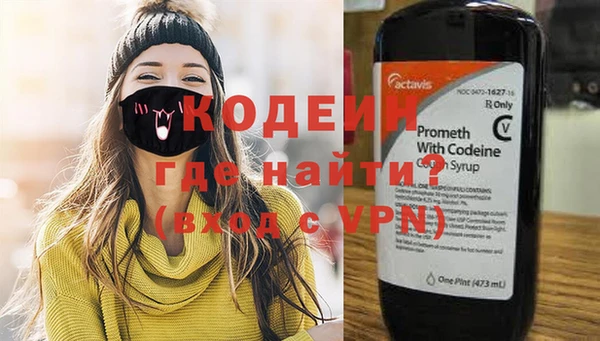 индика Волосово